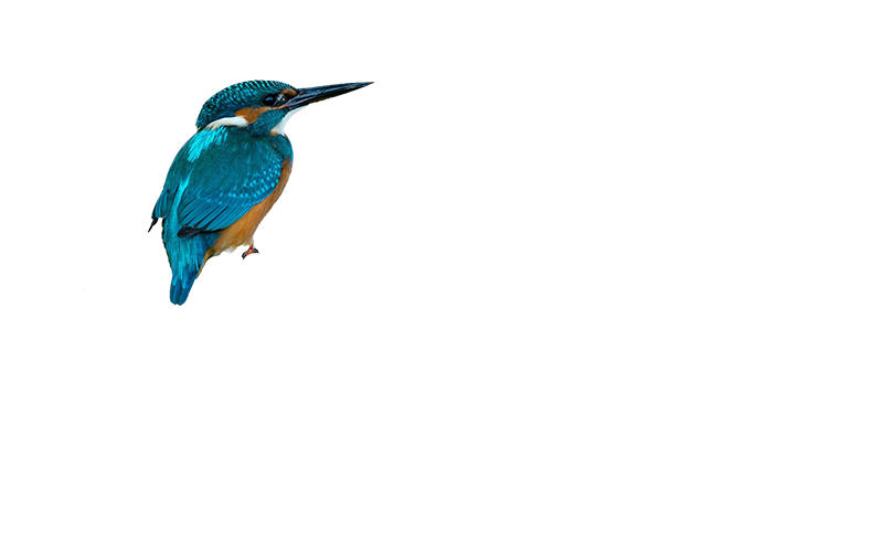 Logo Biotopschutzbund
